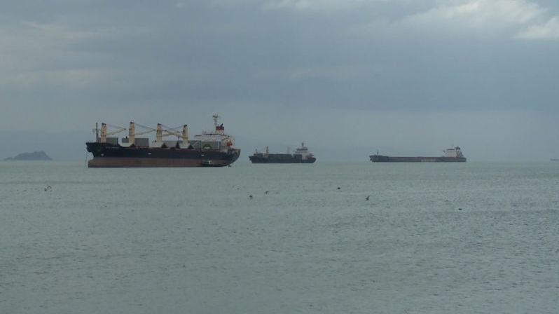 Z ukrajinských přístavů vyplouvá jedna loď s obilím za druhou